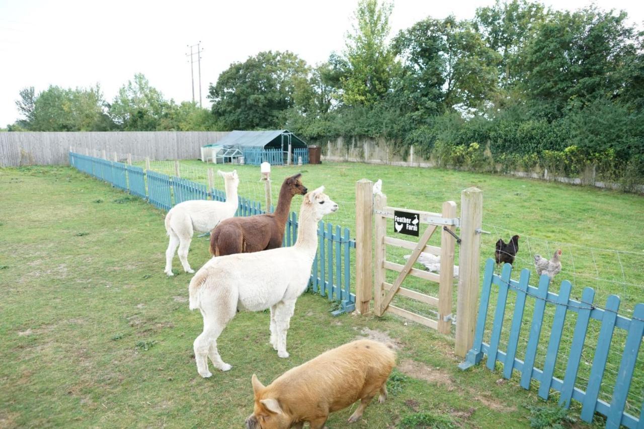 Alpaca Lodge Sittingbourne Esterno foto